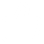 Feedback